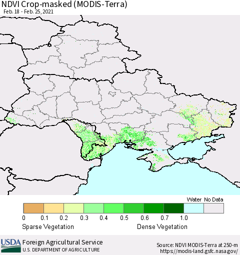 Ukraine, Moldova and Belarus Cropland NDVI (Terra-MODIS) Thematic Map For 2/21/2021 - 2/28/2021