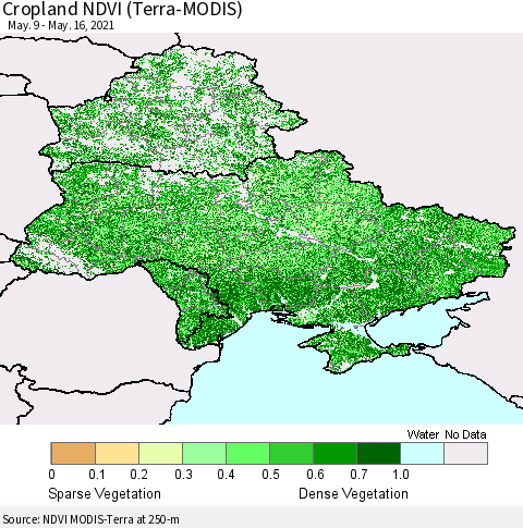 Ukraine, Moldova and Belarus Cropland NDVI (Terra-MODIS) Thematic Map For 5/9/2021 - 5/16/2021