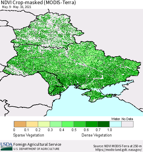 Ukraine, Moldova and Belarus Cropland NDVI (Terra-MODIS) Thematic Map For 5/11/2021 - 5/20/2021