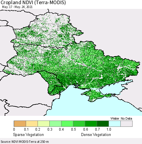 Ukraine, Moldova and Belarus Cropland NDVI (Terra-MODIS) Thematic Map For 5/17/2021 - 5/24/2021