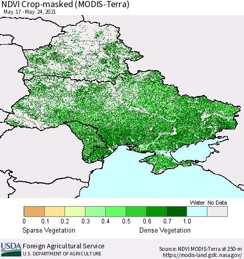 Ukraine, Moldova and Belarus Cropland NDVI (Terra-MODIS) Thematic Map For 5/21/2021 - 5/31/2021