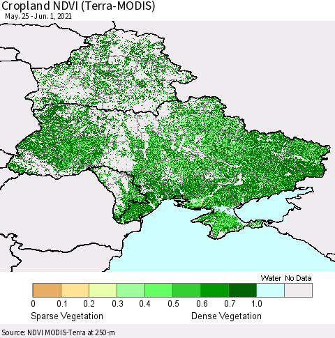 Ukraine, Moldova and Belarus Cropland NDVI (Terra-MODIS) Thematic Map For 5/25/2021 - 6/1/2021