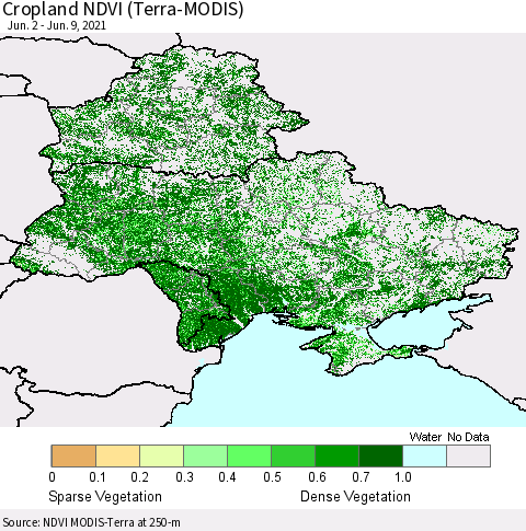 Ukraine, Moldova and Belarus Cropland NDVI (Terra-MODIS) Thematic Map For 6/2/2021 - 6/9/2021