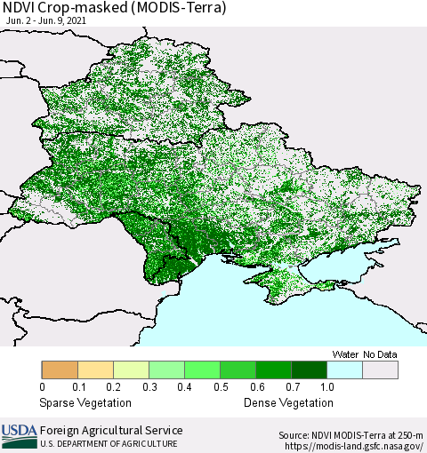 Ukraine, Moldova and Belarus Cropland NDVI (Terra-MODIS) Thematic Map For 6/1/2021 - 6/10/2021