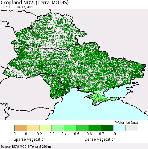 Ukraine, Moldova and Belarus Cropland NDVI (Terra-MODIS) Thematic Map For 6/10/2021 - 6/17/2021