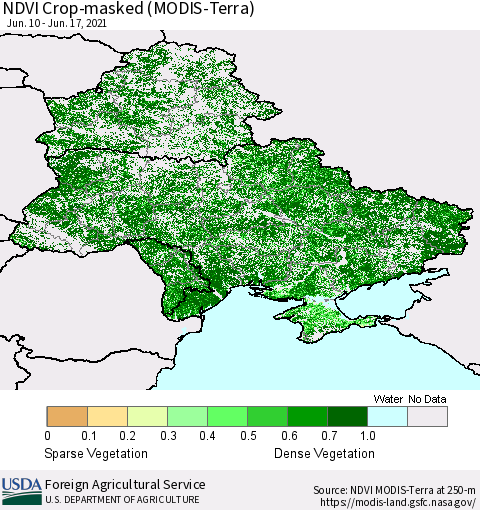 Ukraine, Moldova and Belarus Cropland NDVI (Terra-MODIS) Thematic Map For 6/11/2021 - 6/20/2021