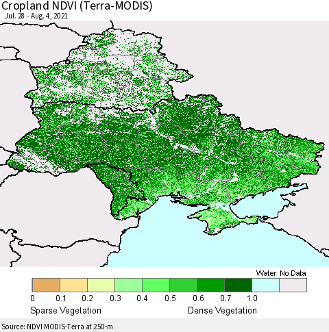 Ukraine, Moldova and Belarus Cropland NDVI (Terra-MODIS) Thematic Map For 7/28/2021 - 8/4/2021