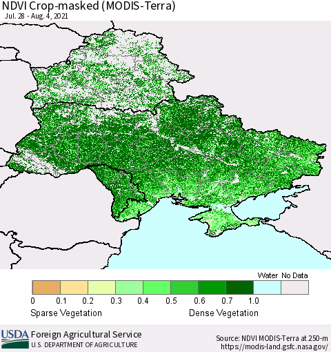Ukraine, Moldova and Belarus Cropland NDVI (Terra-MODIS) Thematic Map For 8/1/2021 - 8/10/2021