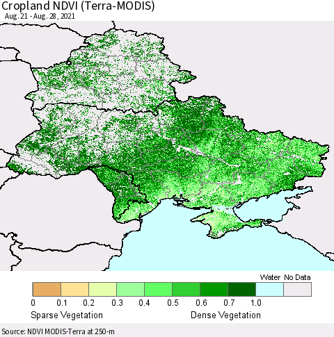 Ukraine, Moldova and Belarus Cropland NDVI (Terra-MODIS) Thematic Map For 8/21/2021 - 8/28/2021