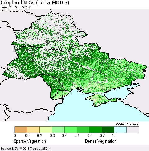 Ukraine, Moldova and Belarus Cropland NDVI (Terra-MODIS) Thematic Map For 8/29/2021 - 9/5/2021
