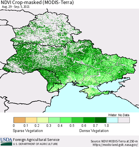 Ukraine, Moldova and Belarus Cropland NDVI (Terra-MODIS) Thematic Map For 9/1/2021 - 9/10/2021