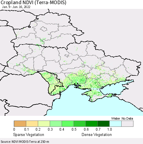 Ukraine, Moldova and Belarus Cropland NDVI (Terra-MODIS) Thematic Map For 1/9/2022 - 1/16/2022