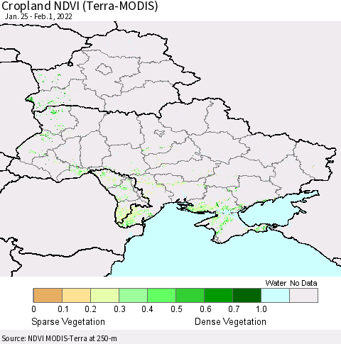 Ukraine, Moldova and Belarus Cropland NDVI (Terra-MODIS) Thematic Map For 1/25/2022 - 2/1/2022
