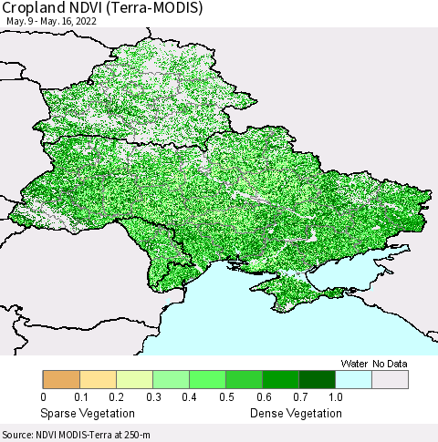 Ukraine, Moldova and Belarus Cropland NDVI (Terra-MODIS) Thematic Map For 5/9/2022 - 5/16/2022