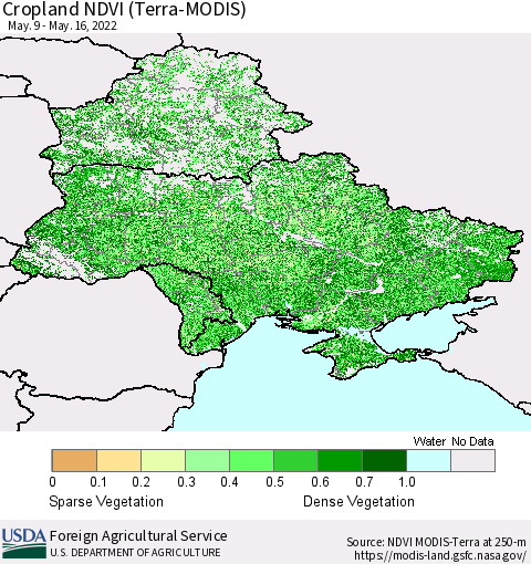 Ukraine, Moldova and Belarus Cropland NDVI (Terra-MODIS) Thematic Map For 5/11/2022 - 5/20/2022