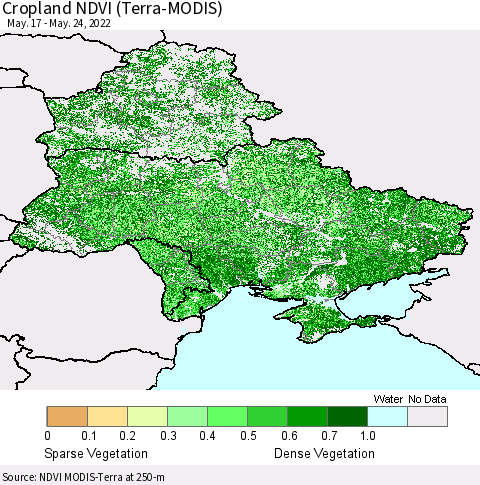 Ukraine, Moldova and Belarus Cropland NDVI (Terra-MODIS) Thematic Map For 5/17/2022 - 5/24/2022