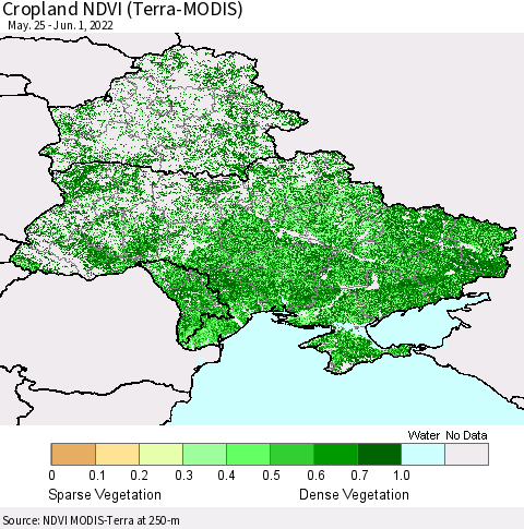 Ukraine, Moldova and Belarus Cropland NDVI (Terra-MODIS) Thematic Map For 5/25/2022 - 6/1/2022