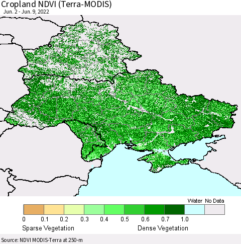 Ukraine, Moldova and Belarus Cropland NDVI (Terra-MODIS) Thematic Map For 6/2/2022 - 6/9/2022