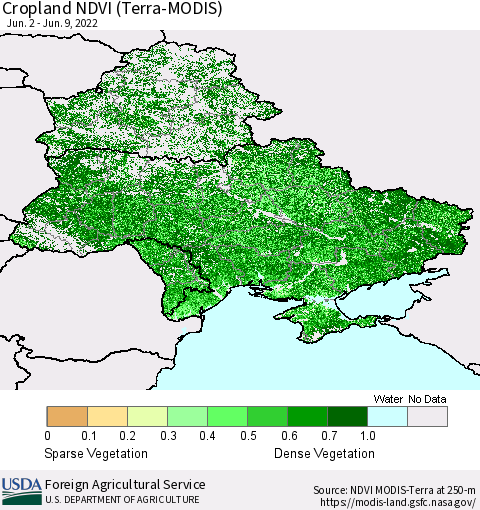 Ukraine, Moldova and Belarus Cropland NDVI (Terra-MODIS) Thematic Map For 6/1/2022 - 6/10/2022