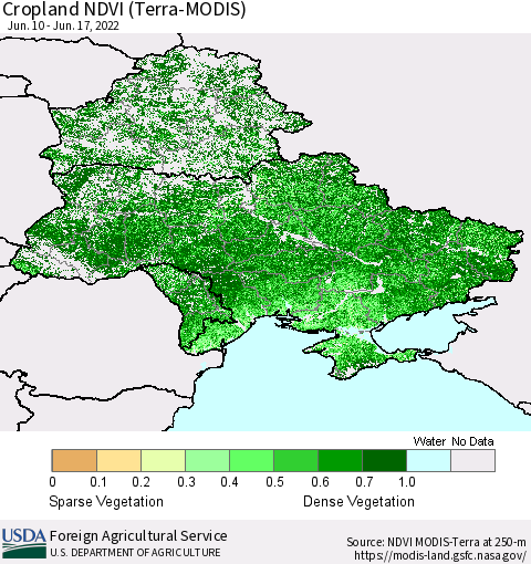 Ukraine, Moldova and Belarus Cropland NDVI (Terra-MODIS) Thematic Map For 6/11/2022 - 6/20/2022