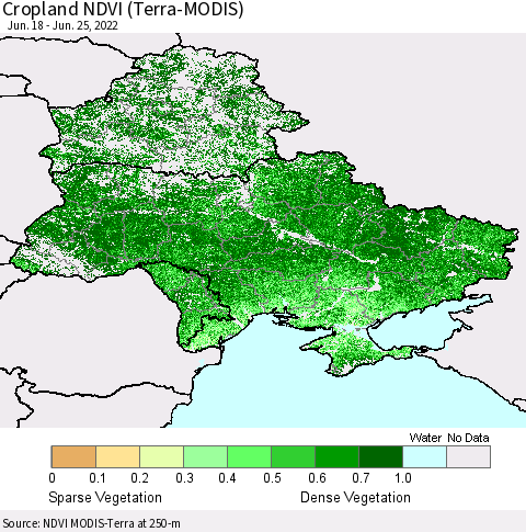 Ukraine, Moldova and Belarus Cropland NDVI (Terra-MODIS) Thematic Map For 6/18/2022 - 6/25/2022
