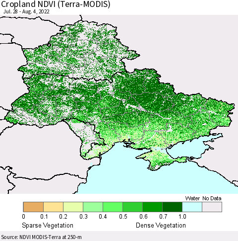Ukraine, Moldova and Belarus Cropland NDVI (Terra-MODIS) Thematic Map For 7/28/2022 - 8/4/2022