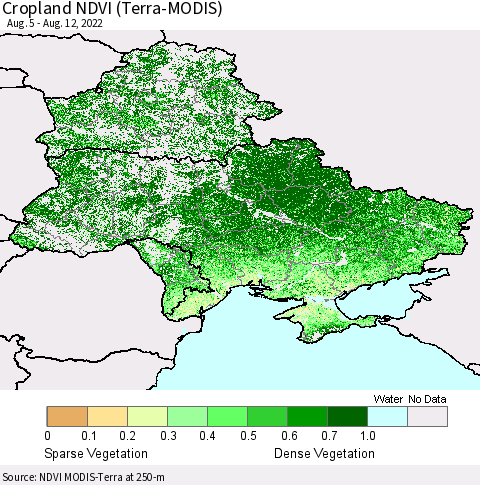Ukraine, Moldova and Belarus Cropland NDVI (Terra-MODIS) Thematic Map For 8/5/2022 - 8/12/2022