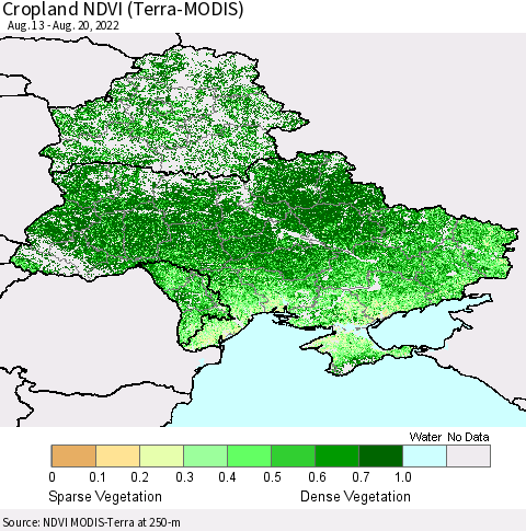 Ukraine, Moldova and Belarus Cropland NDVI (Terra-MODIS) Thematic Map For 8/11/2022 - 8/20/2022
