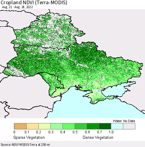 Ukraine, Moldova and Belarus Cropland NDVI (Terra-MODIS) Thematic Map For 8/21/2022 - 8/28/2022