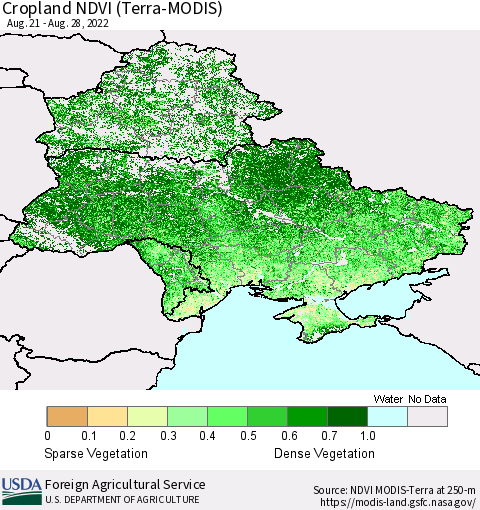 Ukraine, Moldova and Belarus Cropland NDVI (Terra-MODIS) Thematic Map For 8/21/2022 - 8/31/2022