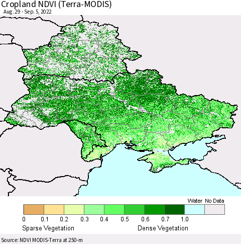 Ukraine, Moldova and Belarus Cropland NDVI (Terra-MODIS) Thematic Map For 8/29/2022 - 9/5/2022