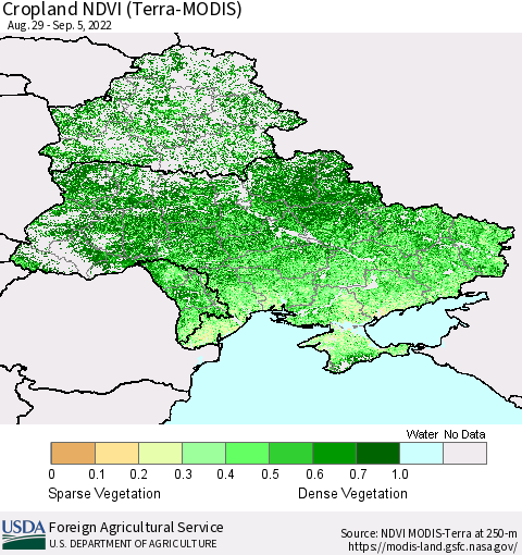 Ukraine, Moldova and Belarus Cropland NDVI (Terra-MODIS) Thematic Map For 9/1/2022 - 9/10/2022