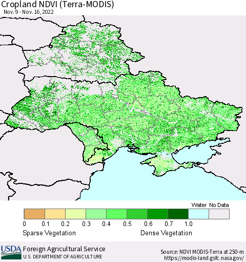 Ukraine, Moldova and Belarus Cropland NDVI (Terra-MODIS) Thematic Map For 11/11/2022 - 11/20/2022