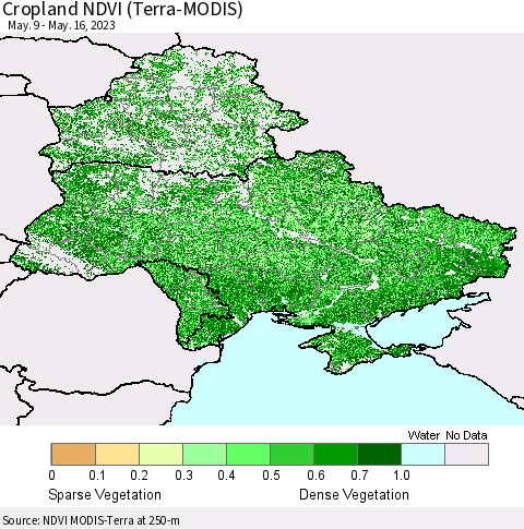 Ukraine, Moldova and Belarus Cropland NDVI (Terra-MODIS) Thematic Map For 5/9/2023 - 5/16/2023