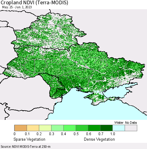 Ukraine, Moldova and Belarus Cropland NDVI (Terra-MODIS) Thematic Map For 5/25/2023 - 6/1/2023