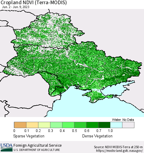 Ukraine, Moldova and Belarus Cropland NDVI (Terra-MODIS) Thematic Map For 6/1/2023 - 6/10/2023