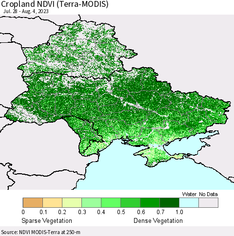 Ukraine, Moldova and Belarus Cropland NDVI (Terra-MODIS) Thematic Map For 7/28/2023 - 8/4/2023