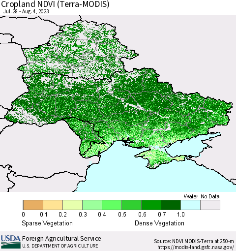 Ukraine, Moldova and Belarus Cropland NDVI (Terra-MODIS) Thematic Map For 8/1/2023 - 8/10/2023