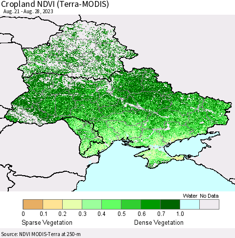 Ukraine, Moldova and Belarus Cropland NDVI (Terra-MODIS) Thematic Map For 8/21/2023 - 8/28/2023