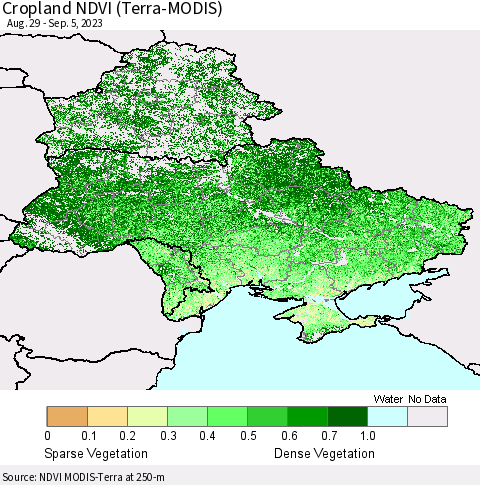 Ukraine, Moldova and Belarus Cropland NDVI (Terra-MODIS) Thematic Map For 8/29/2023 - 9/5/2023