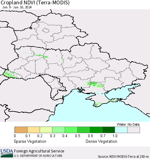 Ukraine, Moldova and Belarus Cropland NDVI (Terra-MODIS) Thematic Map For 1/11/2024 - 1/20/2024