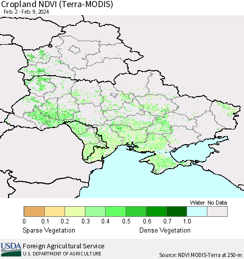 Ukraine, Moldova and Belarus Cropland NDVI (Terra-MODIS) Thematic Map For 2/1/2024 - 2/10/2024