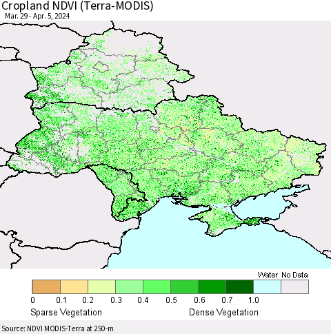 Ukraine, Moldova and Belarus Cropland NDVI (Terra-MODIS) Thematic Map For 3/29/2024 - 4/5/2024