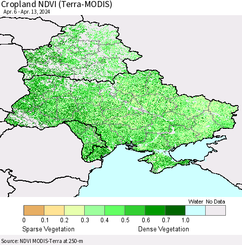 Ukraine, Moldova and Belarus Cropland NDVI (Terra-MODIS) Thematic Map For 4/6/2024 - 4/13/2024