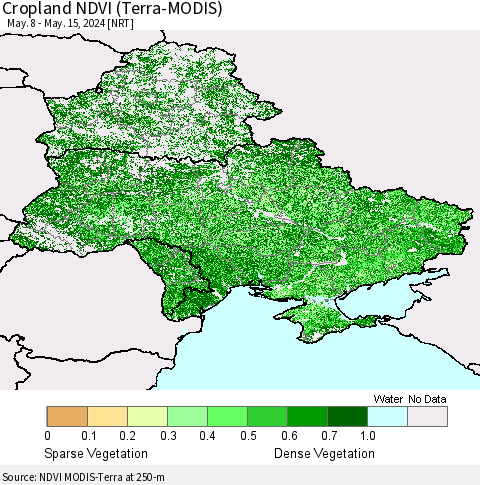 Ukraine, Moldova and Belarus Cropland NDVI (Terra-MODIS) Thematic Map For 5/8/2024 - 5/15/2024