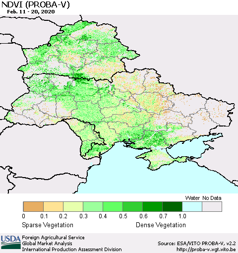 Ukraine, Moldova and Belarus NDVI (PROBA-V) Thematic Map For 2/11/2020 - 2/20/2020
