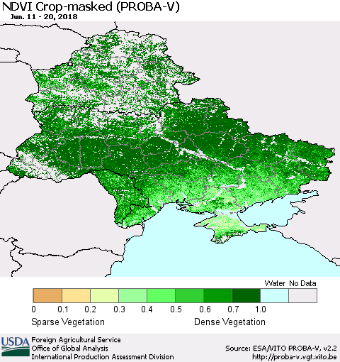 Ukraine, Moldova and Belarus NDVI Crop-masked (PROBA-V) Thematic Map For 6/11/2018 - 6/20/2018