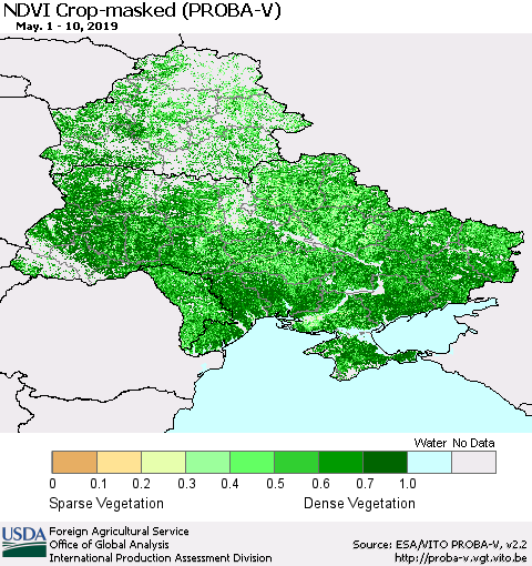 Ukraine, Moldova and Belarus NDVI Crop-masked (PROBA-V) Thematic Map For 5/1/2019 - 5/10/2019