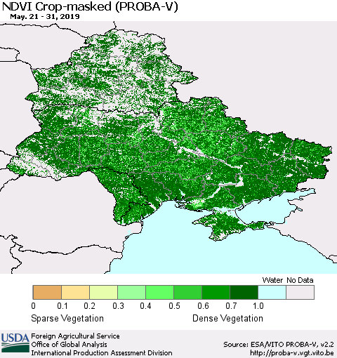 Ukraine, Moldova and Belarus NDVI Crop-masked (PROBA-V) Thematic Map For 5/21/2019 - 5/31/2019