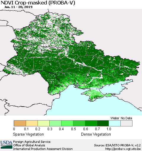Ukraine, Moldova and Belarus NDVI Crop-masked (PROBA-V) Thematic Map For 6/11/2019 - 6/20/2019